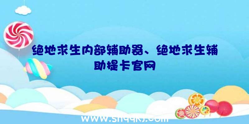 绝地求生内部辅助器、绝地求生辅助提卡官网