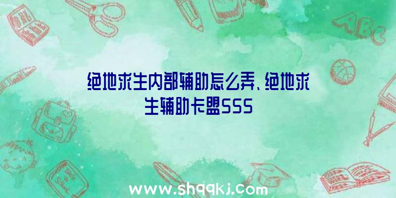 绝地求生内部辅助怎么弄、绝地求生辅助卡盟555