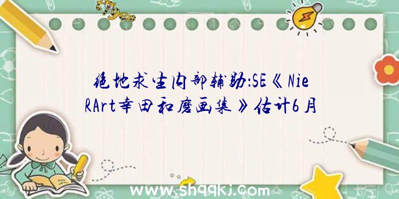 绝地求生内部辅助：SE《NieRArt幸田和磨画集》估计6月28日出售!购入三册还可取得特制文件夹特典