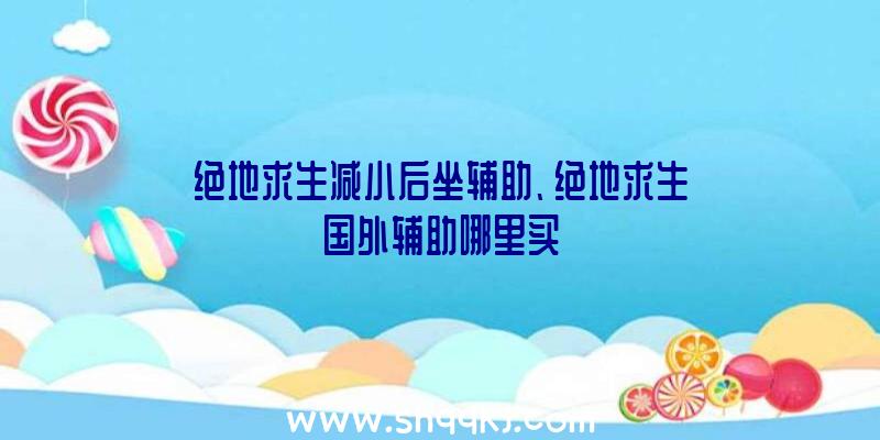 绝地求生减小后坐辅助、绝地求生国外辅助哪里买