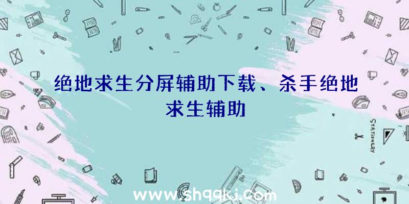 绝地求生分屏辅助下载、杀手绝地求生辅助