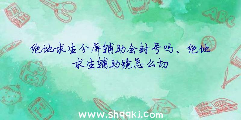 绝地求生分屏辅助会封号吗、绝地求生辅助镜怎么切