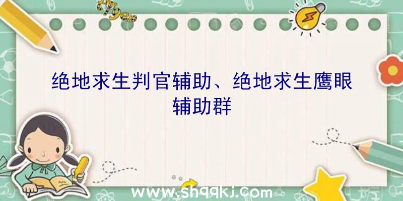 绝地求生判官辅助、绝地求生鹰眼辅助群