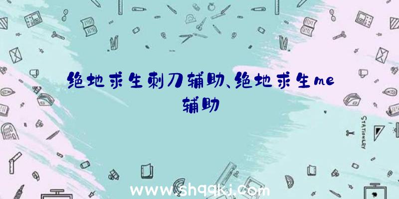 绝地求生刺刀辅助、绝地求生me辅助