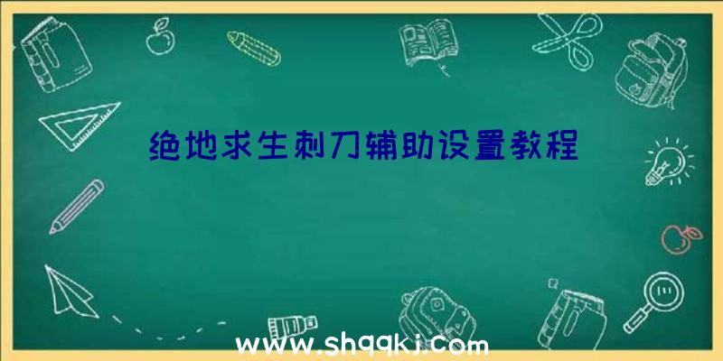 绝地求生刺刀辅助设置教程