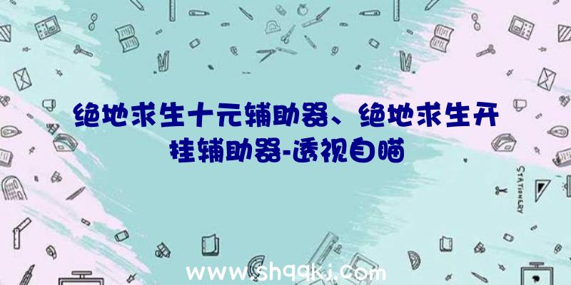 绝地求生十元辅助器、绝地求生开挂辅助器-透视自瞄