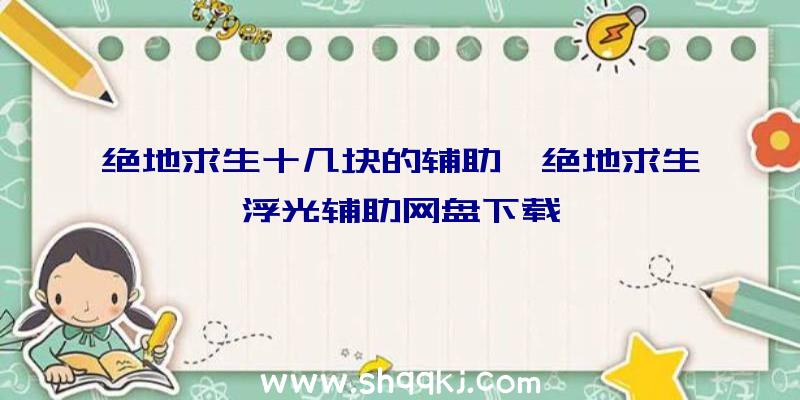 绝地求生十几块的辅助、绝地求生浮光辅助网盘下载