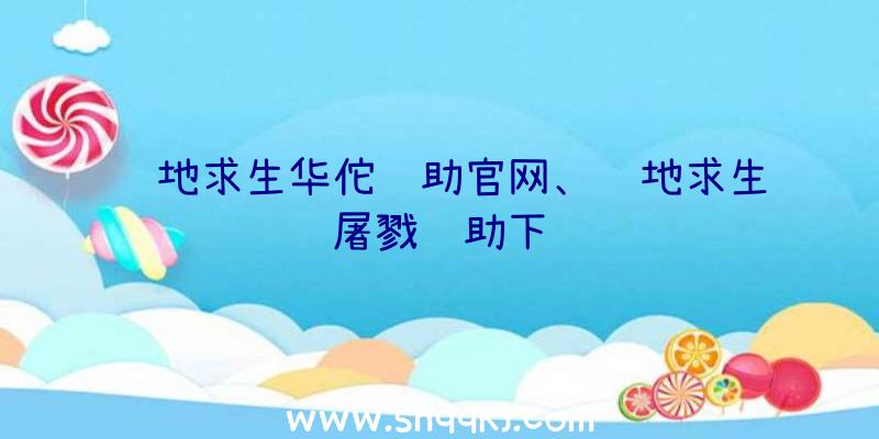 绝地求生华佗辅助官网、绝地求生屠戮辅助下载