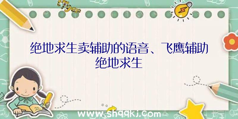 绝地求生卖辅助的语音、飞鹰辅助绝地求生