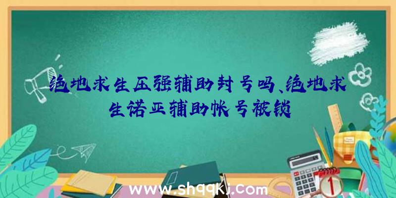 绝地求生压强辅助封号吗、绝地求生诺亚辅助帐号被锁