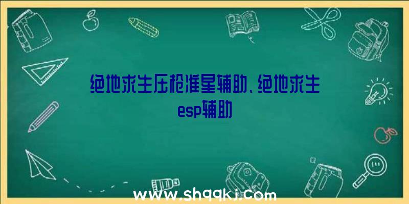 绝地求生压枪准星辅助、绝地求生esp辅助