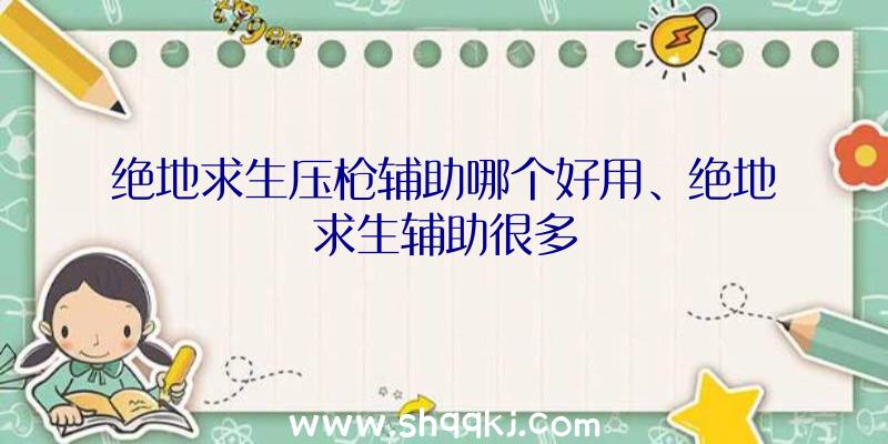 绝地求生压枪辅助哪个好用、绝地求生辅助很多