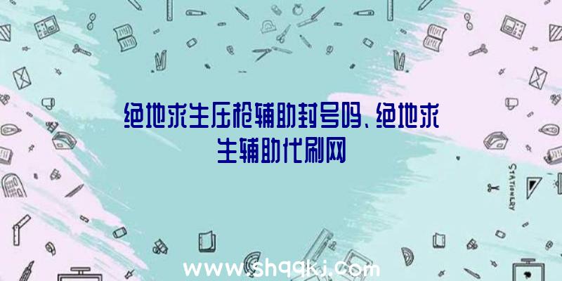 绝地求生压枪辅助封号吗、绝地求生辅助代刷网