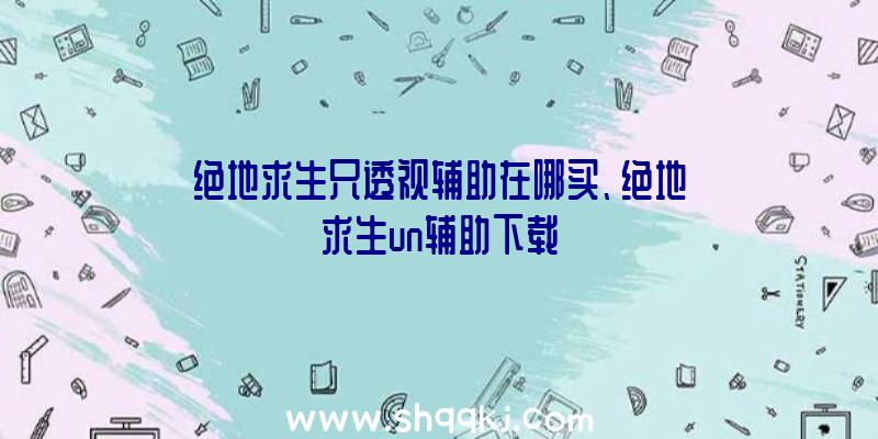 绝地求生只透视辅助在哪买、绝地求生un辅助下载