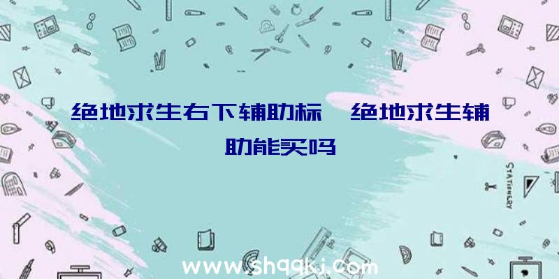 绝地求生右下辅助标、绝地求生辅助能买吗