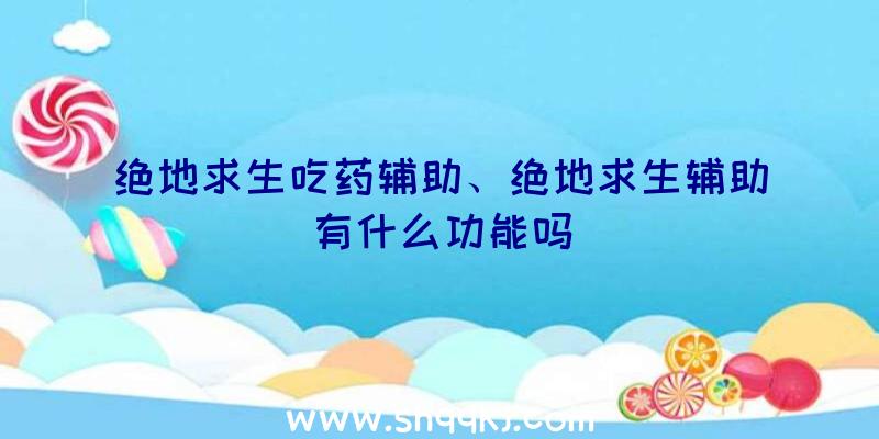 绝地求生吃药辅助、绝地求生辅助有什么功能吗