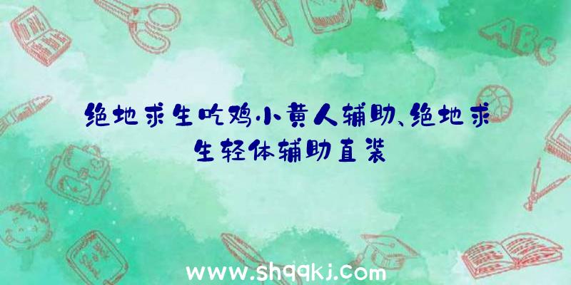 绝地求生吃鸡小黄人辅助、绝地求生轻体辅助直装