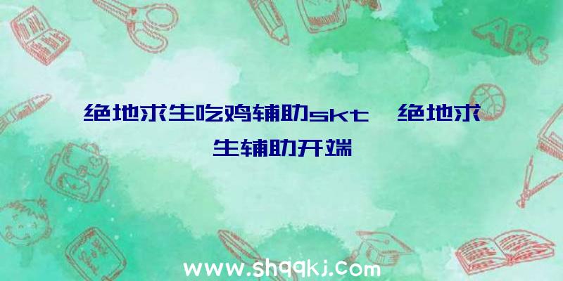 绝地求生吃鸡辅助skt、绝地求生辅助开端