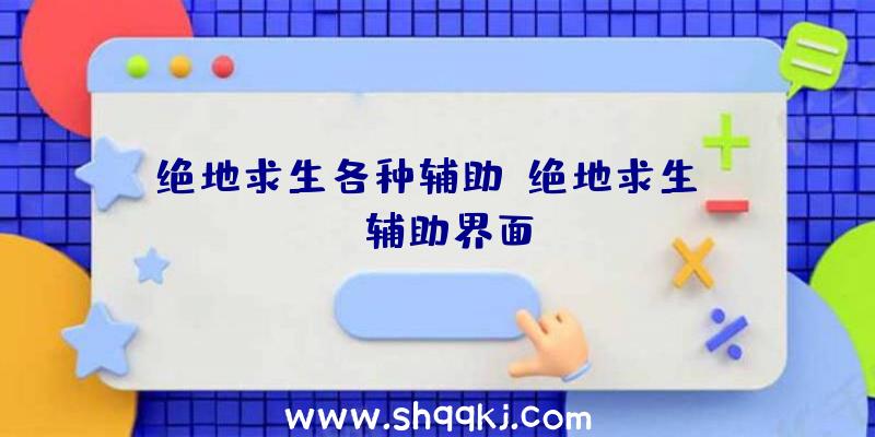 绝地求生各种辅助、绝地求生XYZ辅助界面