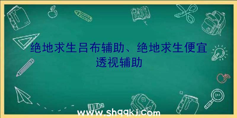 绝地求生吕布辅助、绝地求生便宜透视辅助