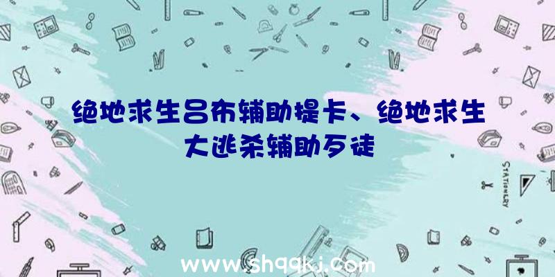 绝地求生吕布辅助提卡、绝地求生大逃杀辅助歹徒