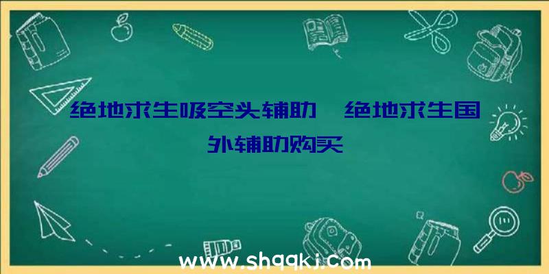 绝地求生吸空头辅助、绝地求生国外辅助购买