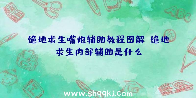 绝地求生嘴炮辅助教程图解、绝地求生内部辅助是什么