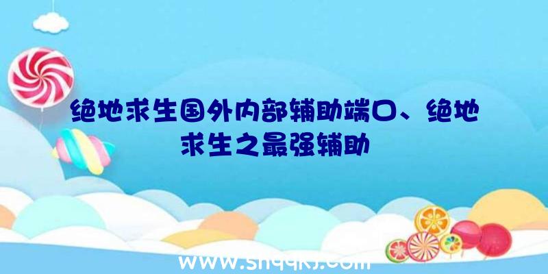 绝地求生国外内部辅助端口、绝地求生之最强辅助