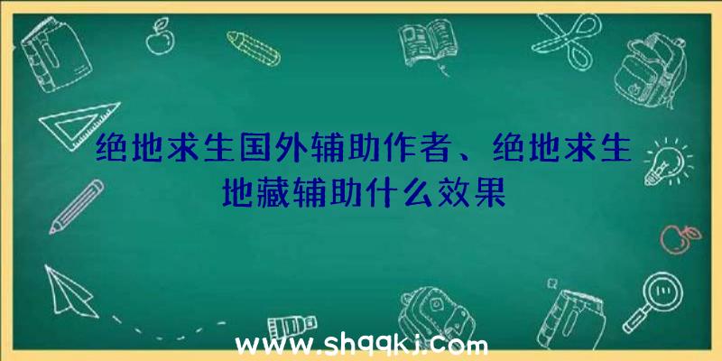 绝地求生国外辅助作者、绝地求生地藏辅助什么效果