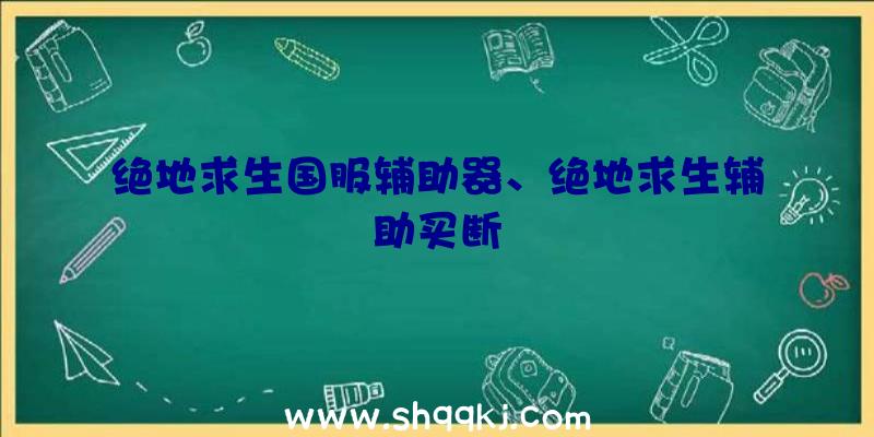 绝地求生国服辅助器、绝地求生辅助买断