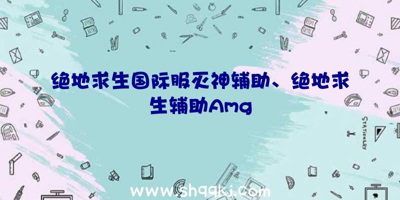 绝地求生国际服灭神辅助、绝地求生辅助Amg