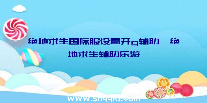 绝地求生国际服设置开g辅助、绝地求生辅助乐游