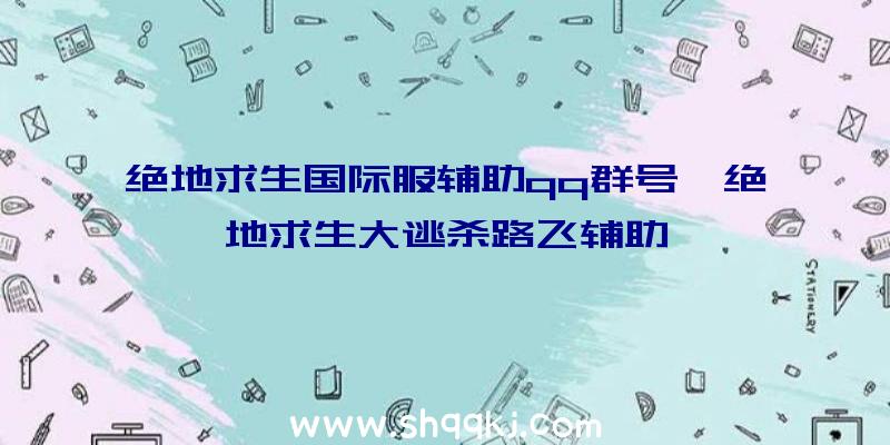 绝地求生国际服辅助qq群号、绝地求生大逃杀路飞辅助