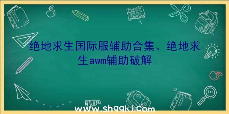 绝地求生国际服辅助合集、绝地求生awm辅助破解