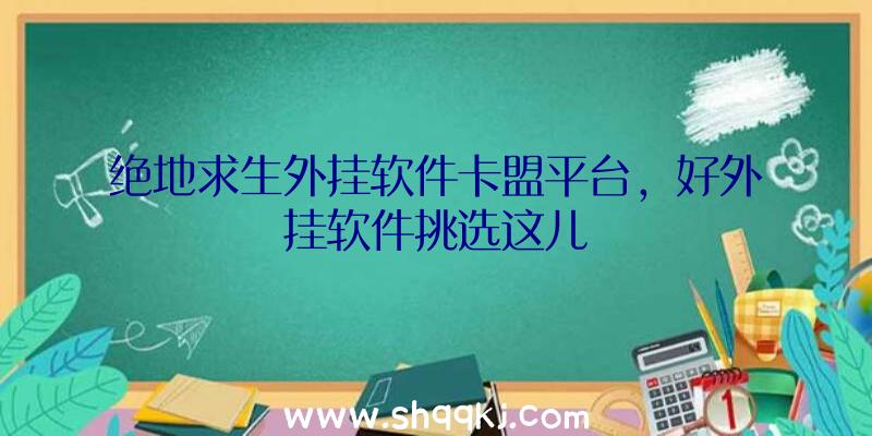 绝地求生外挂软件卡盟平台，好外挂软件挑选这儿