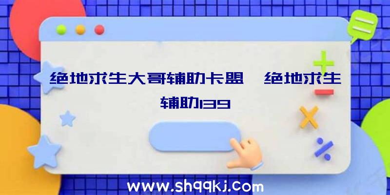 绝地求生大哥辅助卡盟、绝地求生辅助139