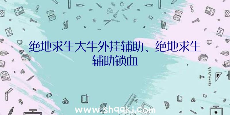 绝地求生大牛外挂辅助、绝地求生辅助锁血