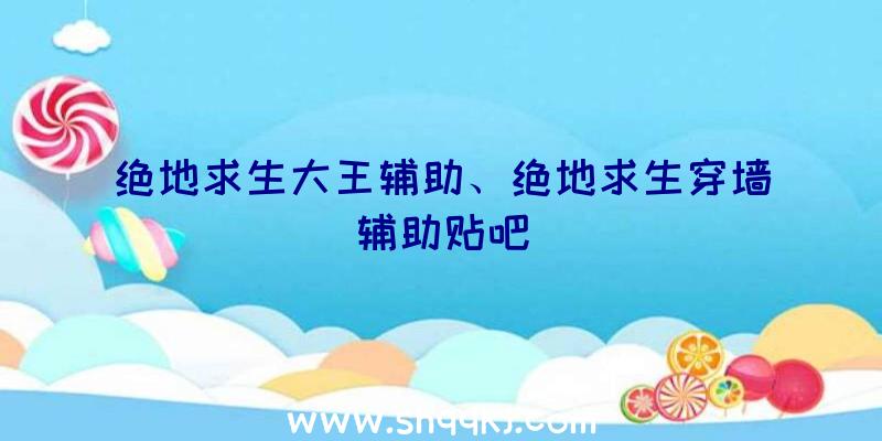 绝地求生大王辅助、绝地求生穿墙辅助贴吧