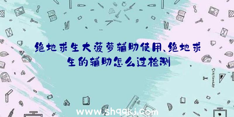 绝地求生大菠萝辅助使用、绝地求生的辅助怎么过检测