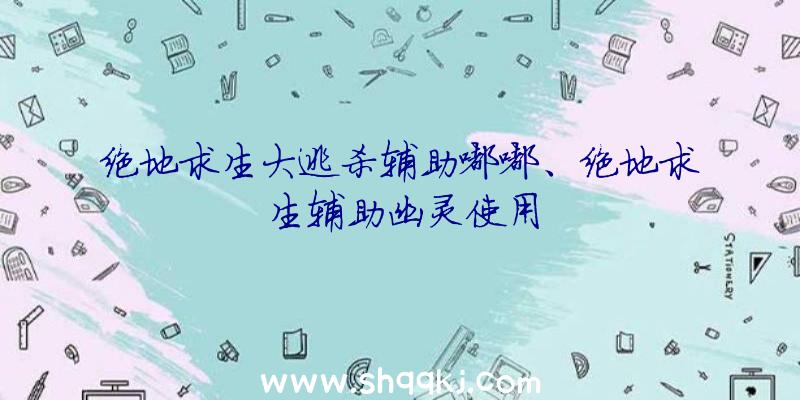 绝地求生大逃杀辅助嘟嘟、绝地求生辅助幽灵使用