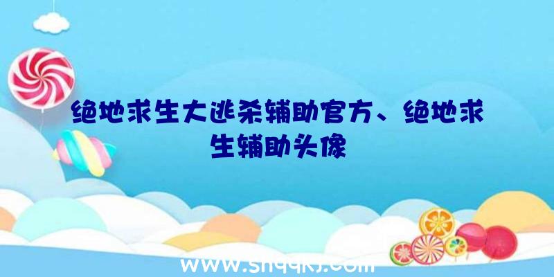 绝地求生大逃杀辅助官方、绝地求生辅助头像