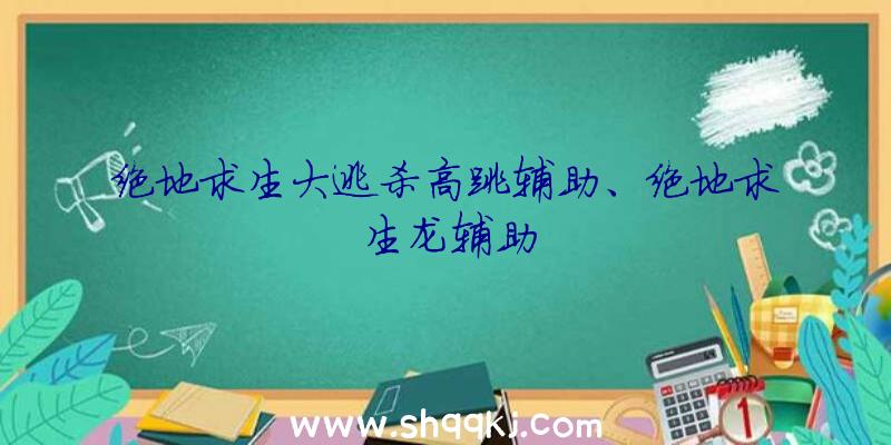 绝地求生大逃杀高跳辅助、绝地求生龙辅助