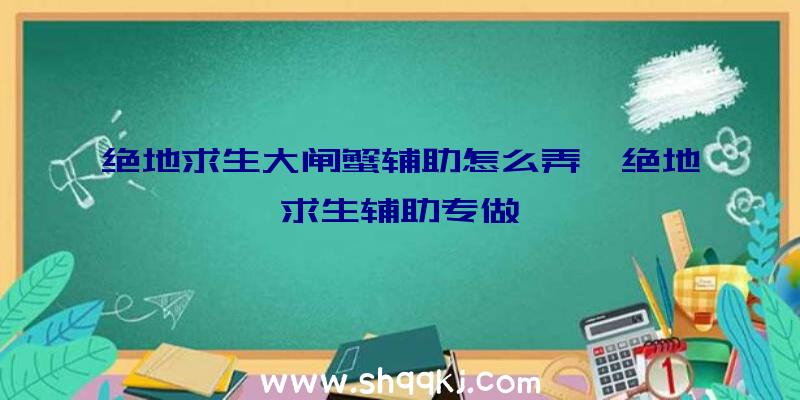 绝地求生大闸蟹辅助怎么弄、绝地求生辅助专做