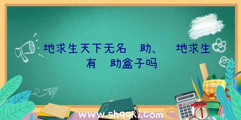 绝地求生天下无名辅助、绝地求生有辅助盒子吗