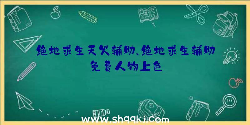 绝地求生天火辅助、绝地求生辅助免费人物上色