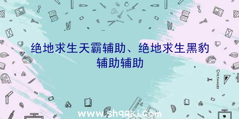 绝地求生天霸辅助、绝地求生黑豹辅助辅助