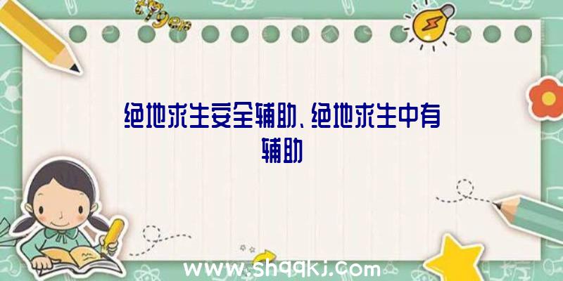 绝地求生安全辅助、绝地求生中有辅助