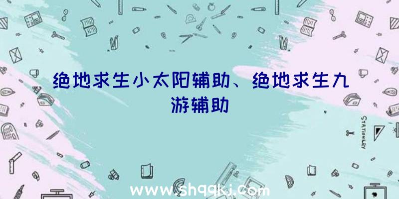 绝地求生小太阳辅助、绝地求生九游辅助