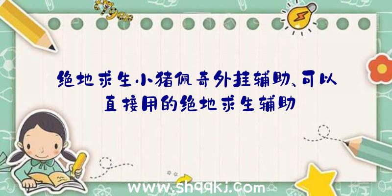 绝地求生小猪佩奇外挂辅助、可以直接用的绝地求生辅助