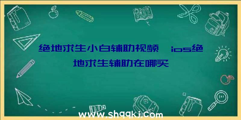 绝地求生小白辅助视频、ios绝地求生辅助在哪买